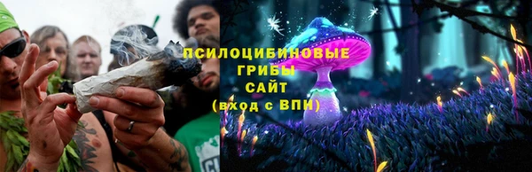спиды Алзамай