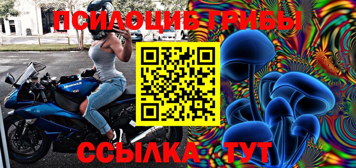 Псилоцибиновые грибы Magic Shrooms  что такое наркотик  Курчалой  Вход с VPN 